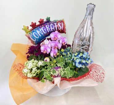 プランツアレンジ　寄せ鉢